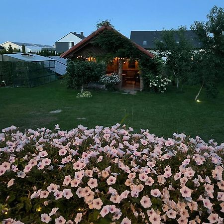 "Wisniowy Sad"Agroturystyka ايوافا المظهر الخارجي الصورة
